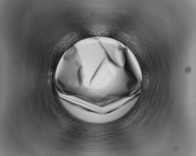 X0000097970263200804211019