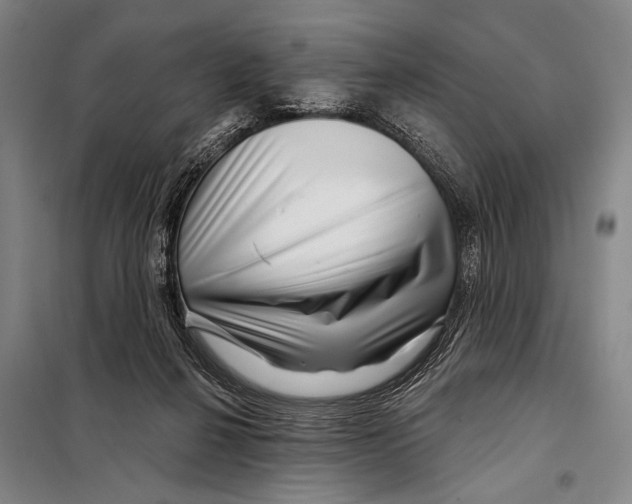 X0000097970264200804211019