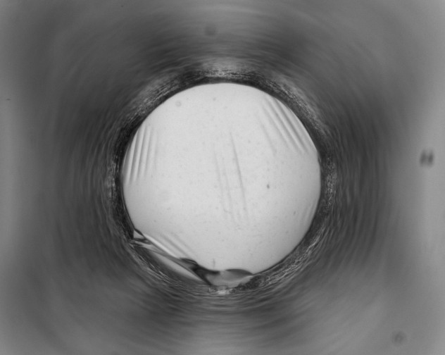 X0000097970265200804211019