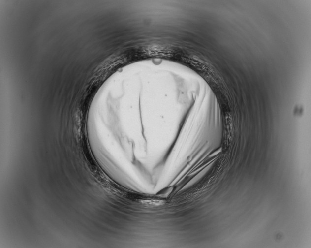 X0000097970266200804211019