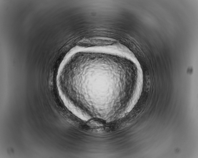 X0000097970267200804211019