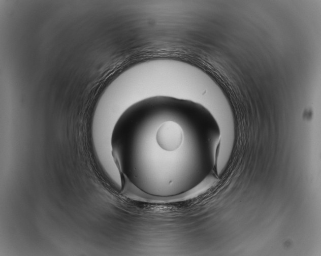 X0000097970268200804211019