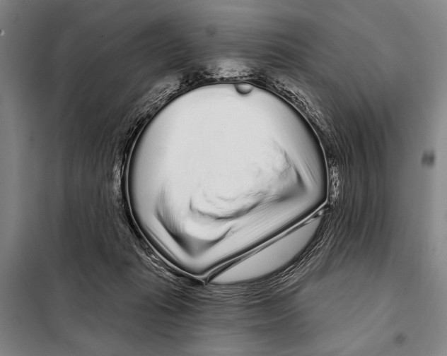 X0000097970269200804211019