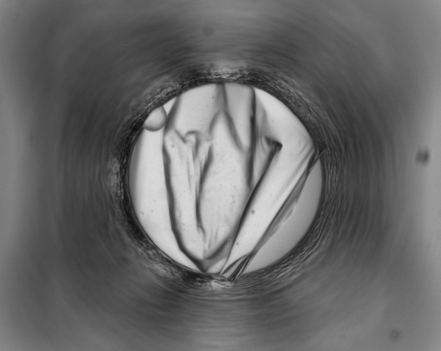 X0000097970270200804211019