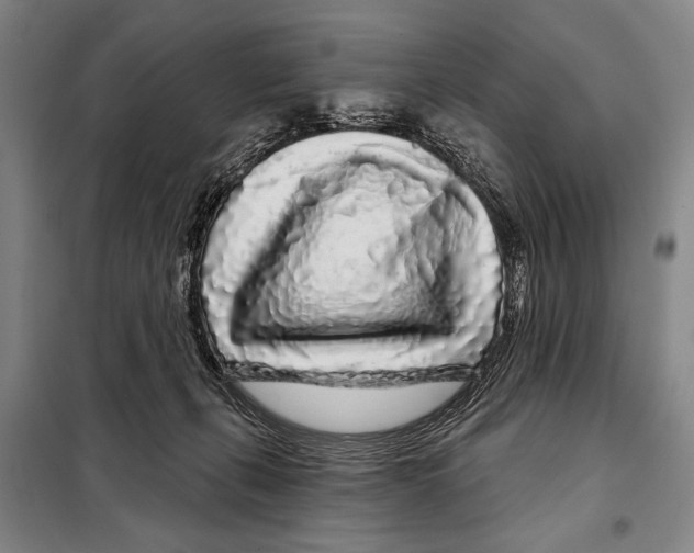 X0000097970271200804211019