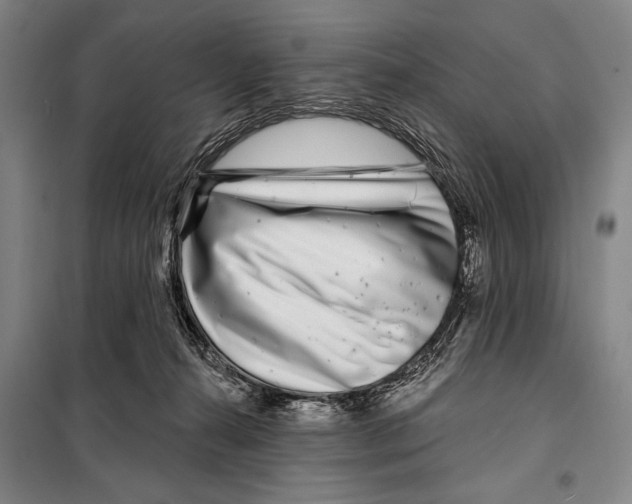 X0000097970272200804211019