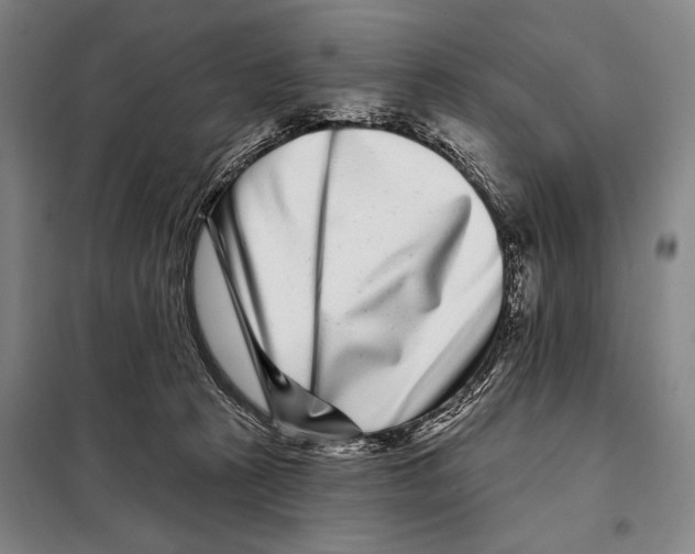 X0000097970273200804211019