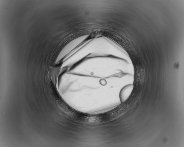 X0000097970275200804211019