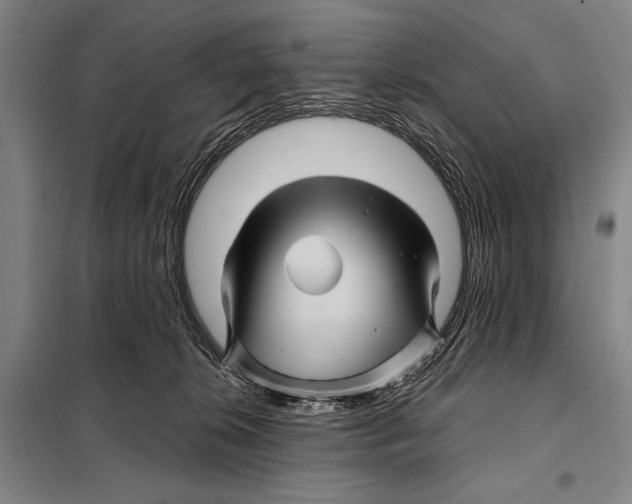 X0000097970276200804211019