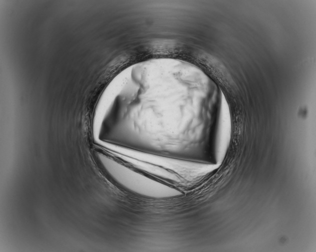 X0000097970277200804211019