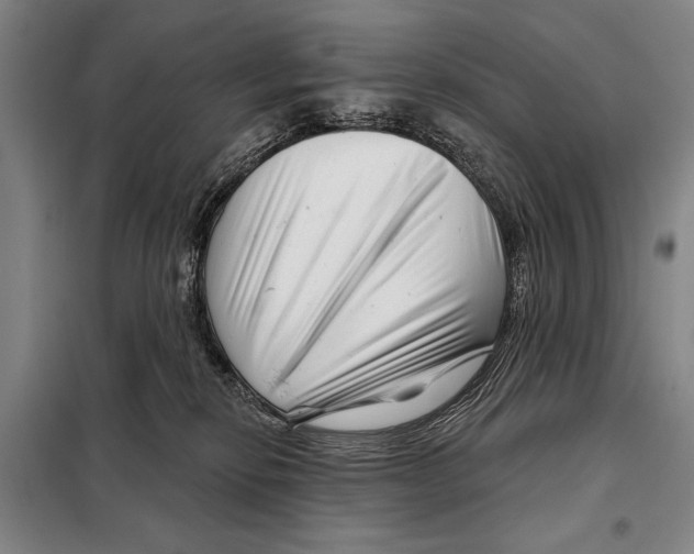 X0000097970278200804211019