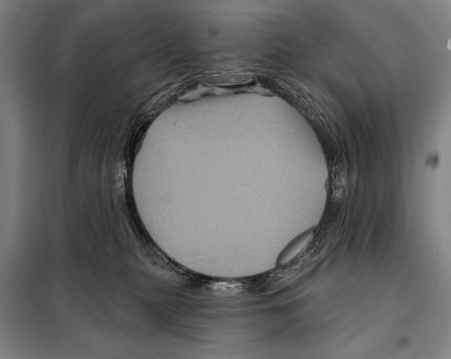 X0000097970279200804211019