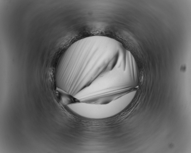 X0000097970280200804211019