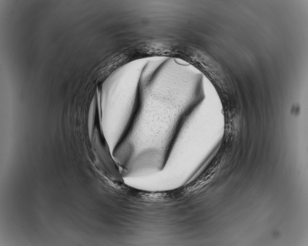 X0000097970281200804211019