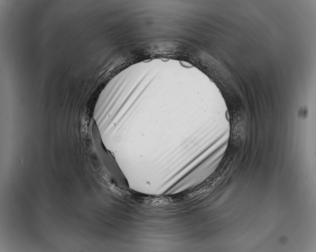 X0000097970282200804211019