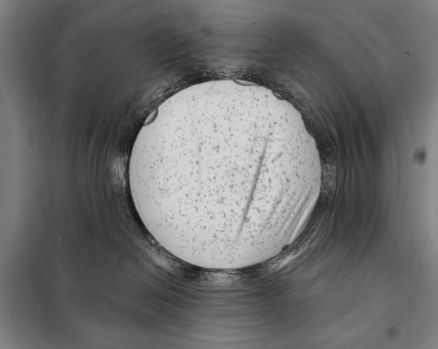 X0000097970286200804211019