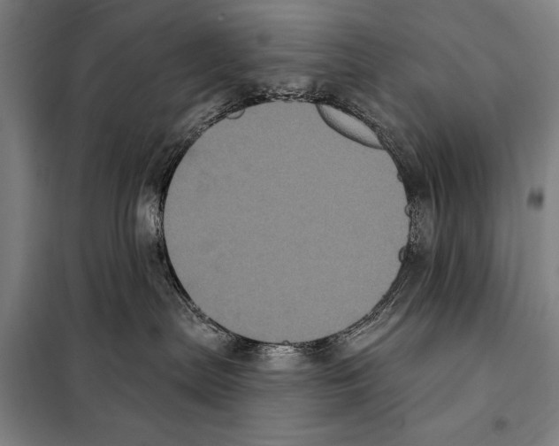X0000097970287200804211019