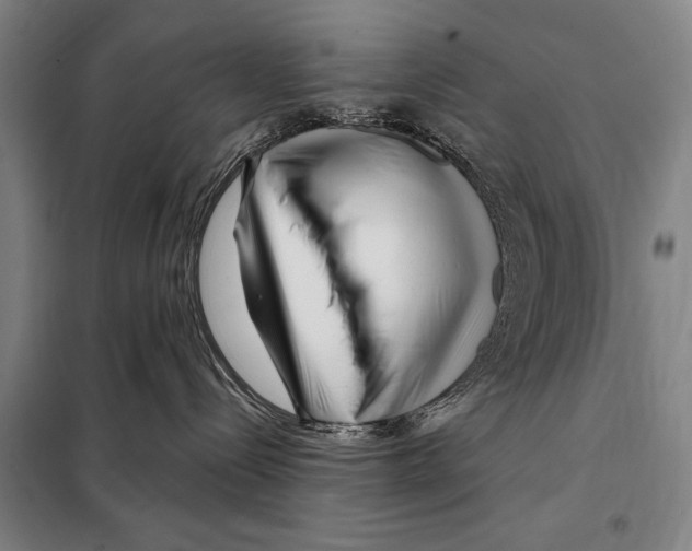 X0000097970288200804211020