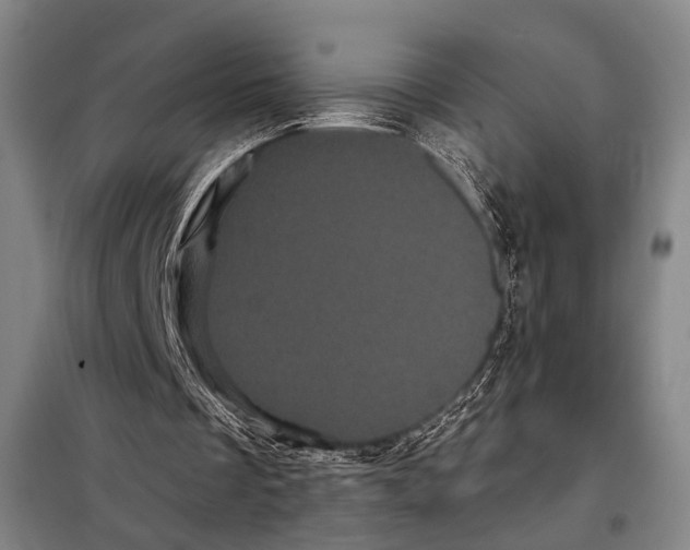 X0000097970289200804211019