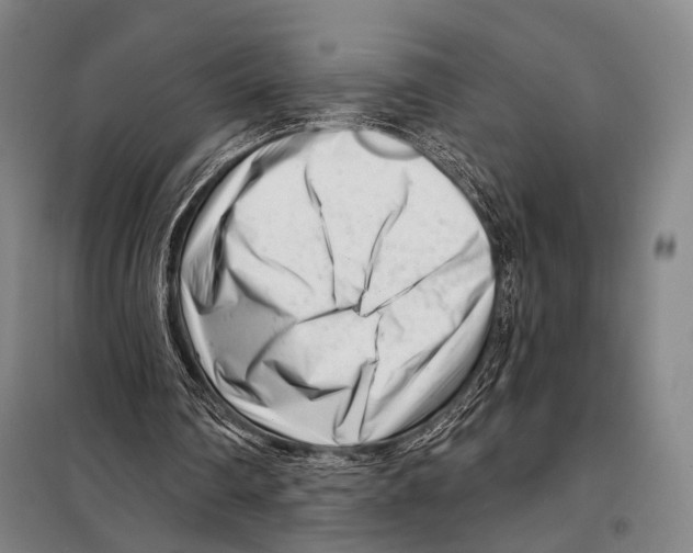 X0000097970290200804211019