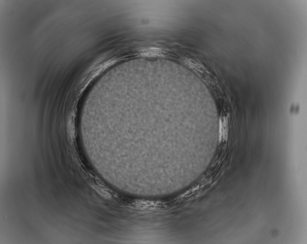 X0000097970291200804211019