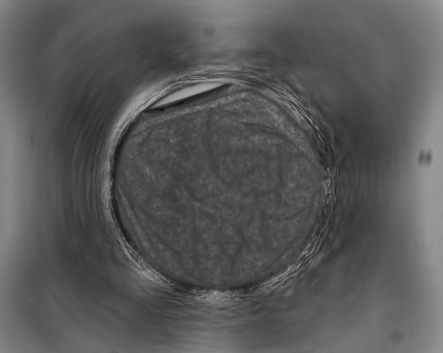 X0000097970293200804211019