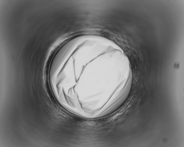 X0000097970294200804211019