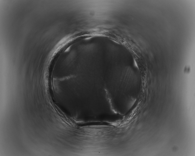 X0000097970295200804211019