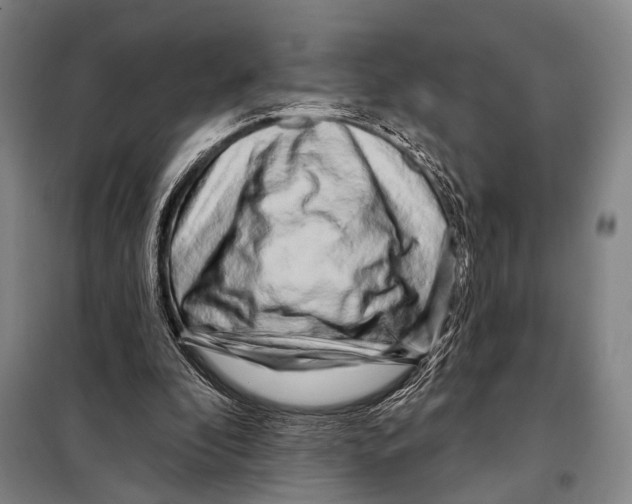 X0000097970296200804211019
