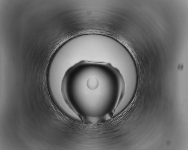 X0000097970297200804211019