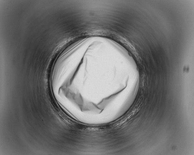 X0000097970298200804211019
