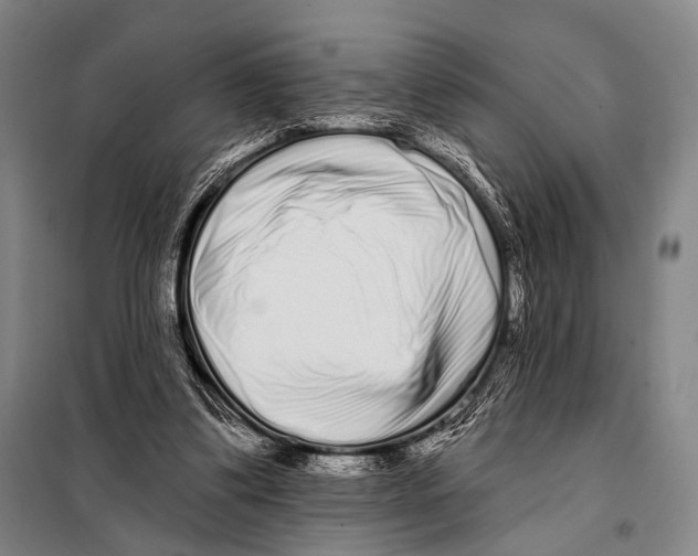 X0000097970299200804211019