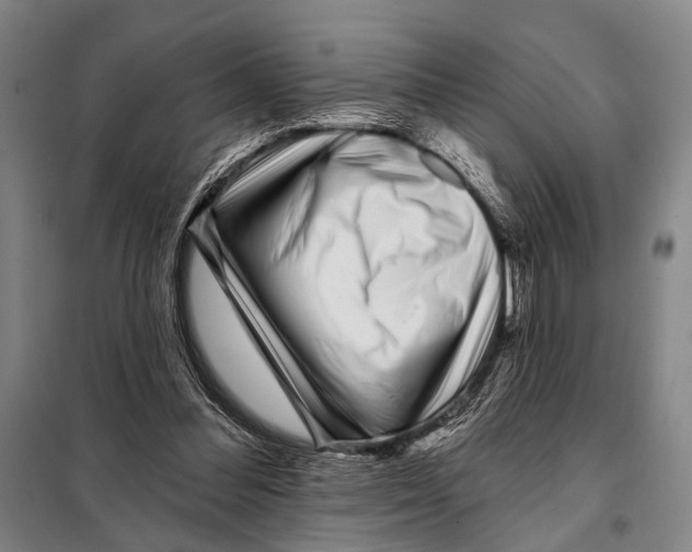 X0000097970300200804211019