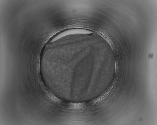 X0000097970301200804211019