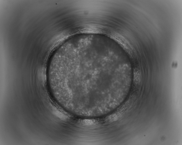 X0000097970302200804211018