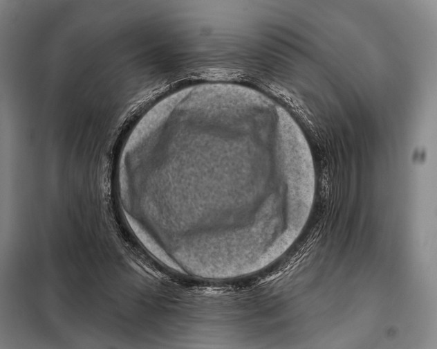 X0000097970303200804211018