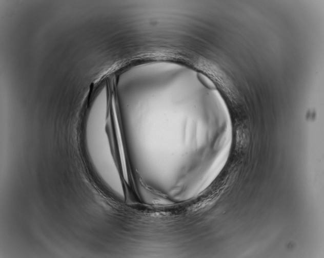 X0000097970304200804211018