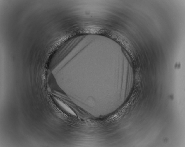 X0000097970305200804211018
