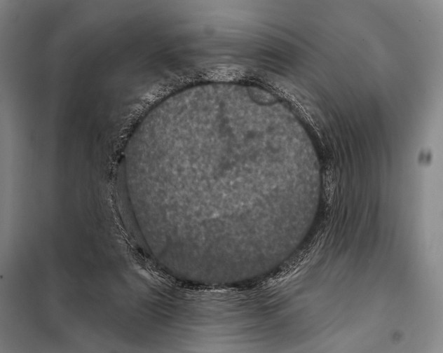 X0000097970307200804211018