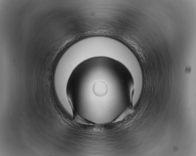 X0000097970308200804211018