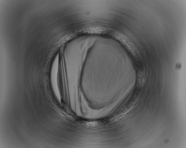 X0000097970309200804211018