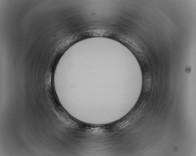 X0000097970310200804211018