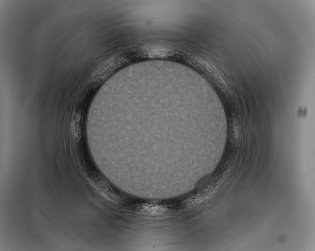 X0000097970311200804211018