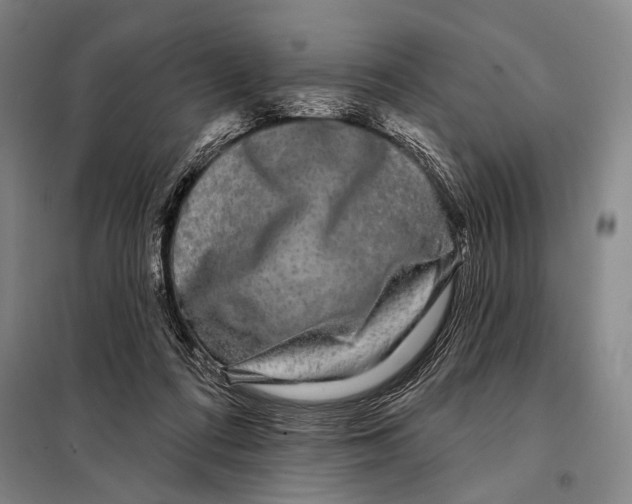 X0000097970312200804211018