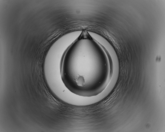 X0000097970313200804211018