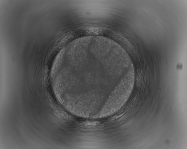 X0000097970314200804211018