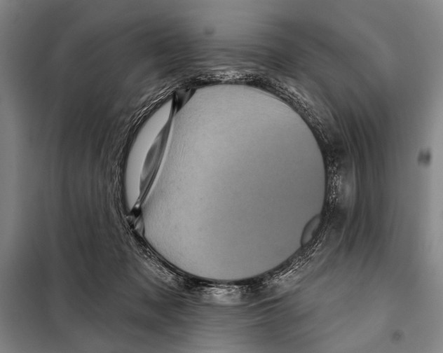 X0000097970317200804211018