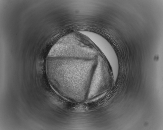 X0000097970319200804211018