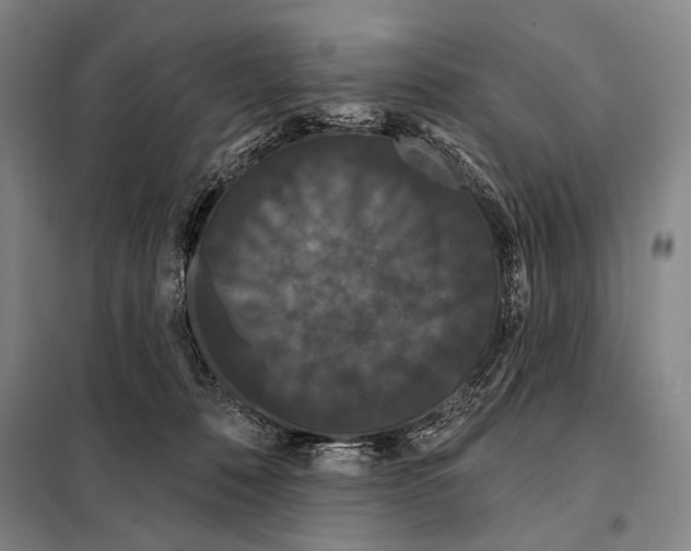 X0000097970320200804211018