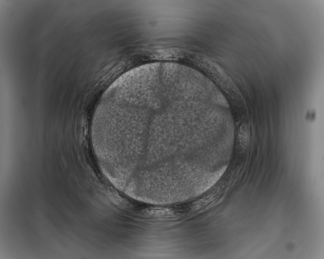 X0000097970322200804211018